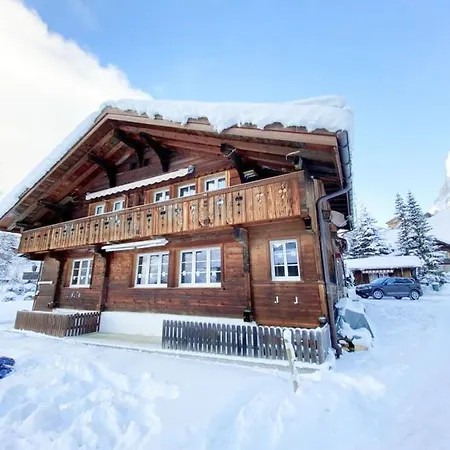 Comfortable Close To Slopes * Grindelwald