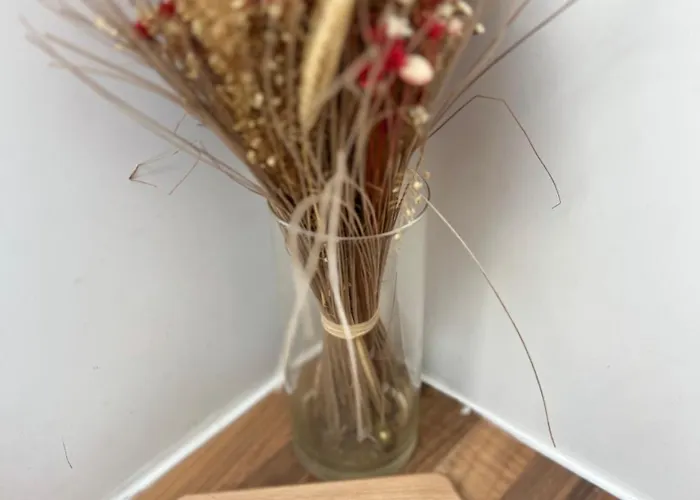 Comfortable Close To Slopes Lejlighed *