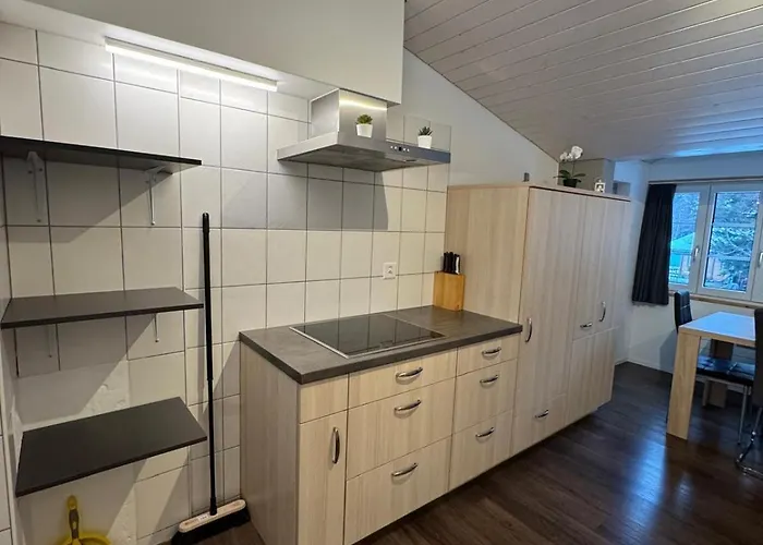 Comfortable Close To Slopes Lejlighed